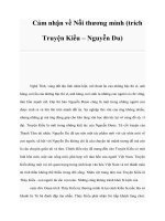Cảm nhận về Nỗi thương mình (trích Truyện Kiều – Nguyễn Du) pot