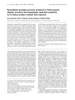 Báo cáo Y học: Recombinant pronapin precursor produced in Pichia pastoris displays structural and immunologic equivalent properties to its mature product isolated from rapeseed pptx