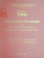 Hoạt động của Marketing mix của công ty Uniler Việt Nam