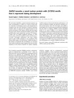 Báo cáo khoa học: NARG2 encodes a novel nuclear protein with (S/T)PXX motifs that is expressed during development docx