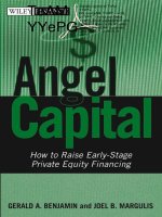 Angel Capital pptx