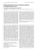 Báo cáo Y học: Cloning and expression of two novel aldo-keto reductases from Digitalis purpurea leaves potx
