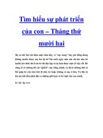 Tìm hiểu sự phát triển của con – Tháng thứ mười hai pptx