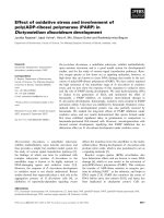 Báo cáo khoa học: Effect of oxidative stress and involvement of poly(ADP-ribose) polymerase (PARP) in Dictyostelium discoideum development doc