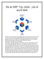 Dự án ERP: Tùy chỉnh - yếu tố quyết định pptx