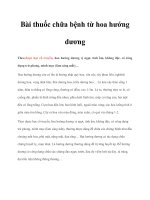 Bài thuốc chữa bệnh từ hoa hướng dương doc