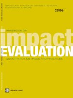 Handbook on Impact Evaluation - Quantitative Methods and Practices pot