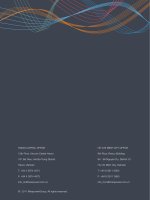 building a high-skilled economy the new vietnam