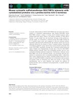Báo cáo khoa học: Mouse cytosolic sulfotransferase SULT2B1b interacts with cytoskeletal proteins via a proline⁄serine-rich C-terminus doc