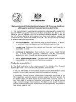 Memorandum of Understanding between HM Treasury, the Bank of England and the Financial Services Authority pptx