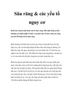 Sâu răng & các yếu tố nguy cơ ppt