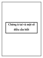 Chứng ù tai và một số điều cần biết pdf