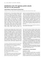Báo cáo Y học: Identiﬁcation of the 19S regulatory particle subunits from the rice 26S proteasome potx