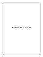 Thiết kế biệt thự 3 tầng 12x25m doc