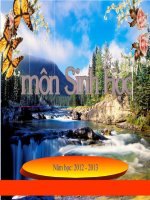 Bài 32- tiết 33: CÔNG NGHỆ GEN pdf