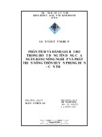 Đề Tài: Phân tích – đánh giả rủi ro trong hoạt động tín dụng của NH No_PTNT huyện Phong Điền-TP Cần Thơ potx