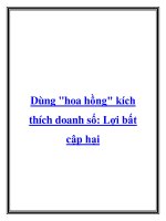 Dùng hoa hồng kích thích doanh số: Lợi bất cập hại potx