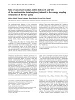 Báo cáo Y học: Role of conserved residues within helices IV and VIII of the oxaloacetate decarboxylase b subunit in the energy coupling mechanism of the Na+ pump ppt