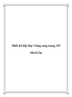 Thiết kế biệt thự 3 tầng sang trọng, DT 10x14,7m potx