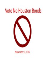 Vote No Houston Bonds November 6, 2012 pot