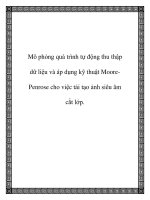Mô phỏng quá trình tự động thu thập dữ liệu và áp dụng kỹ thuật MoorePenrose cho việc tái tạo ảnh siêu âm cắt lớp. potx