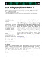 Báo cáo khoa học: Structure of FocB – a member of a family of transcription factors regulating ﬁmbrial adhesin expression in uropathogenic Escherichia coli pdf