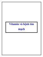 Vitamin và bệnh tim mạch ppt