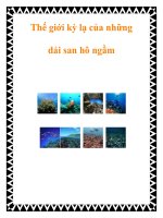 Thế giới kỳ lạ của những dải san hô ngầm pdf
