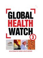 Global health watch 3 an alternative world health report ppt