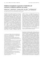 Báo cáo Y học: Oxidation of propionate to pyruvate in Escherichia coli Involvement of methylcitrate dehydratase and aconitase pot