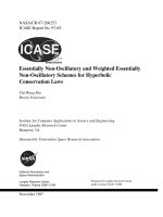 Essentially Non-Oscillatory and Weighted Essentially Non-Oscillatory Schemes for Hyperbolic Conservation Laws pdf