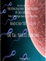 Sinh Lí Sinh Sản potx
