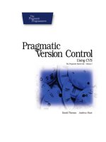 Pragmatic Version Control Using CVS pptx
