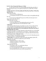 Ôn tập đại lý pdf