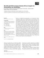 Báo cáo khoa học: K4, K9 and K18 in human histone H3 are targets for biotinylation by biotinidase pdf