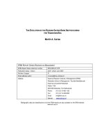 THE EVOLUTION OF THE RUSSIAN SAVING BANK SECTOR DURING THE TRANSITION ERA docx