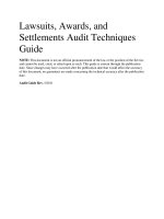 Lawsuits, Awards, and Settlements Audit Techniques Guide pot