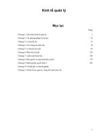 Kinh tế quản lý pdf