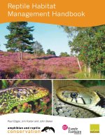 Reptile Habitat Management Handbook doc