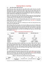 Chương 4: Keo tụ - tạo bông potx