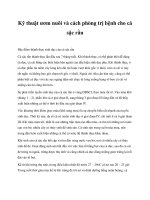 Kỹ thuật ươm nuôi và cách phòng trị bệnh cho cá sặc rằn pot