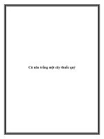 Củ nâu trắng một cây thuốc quý docx