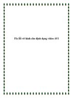 Fix lỗi vỡ hình cho định dạng video AVI.DivX doc