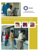 Microfinance services by savings banks in Africa - The sleeping giants have started moving, but where are they going? potx