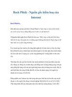 Rock Phish - Nguồn gốc hiểm hoạ của Internet ppt
