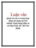 Luận văn: Quản trị rủi ro trong hoạt động tín dụng tại Chi nhánh Ngân hàng Đầu tư và Phát triển TP. Hồ Chí Minh doc