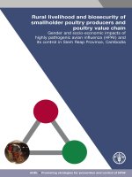 Rural livelihood and biosecurity of smallholder poultry producers and poultry value chain pdf