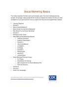 Social Marketing Basics pot