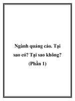 Ngành quảng cáo. Tại sao có? Tại sao không? (Phần 1) docx