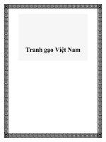 Tranh gạo Việt Nam potx